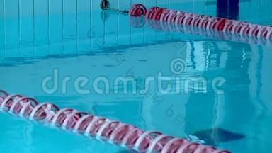 女游泳运动员在游泳池里潜水。 女游泳运动员潜入游泳池游泳。 上景。